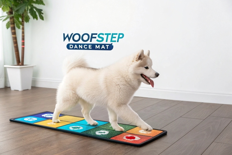 create-a-product-image-for-woofstep--dance-mat--li
