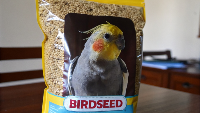 package-of-bird-seed-called--nori-s-forage--with-a